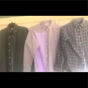 Button Down Shirts